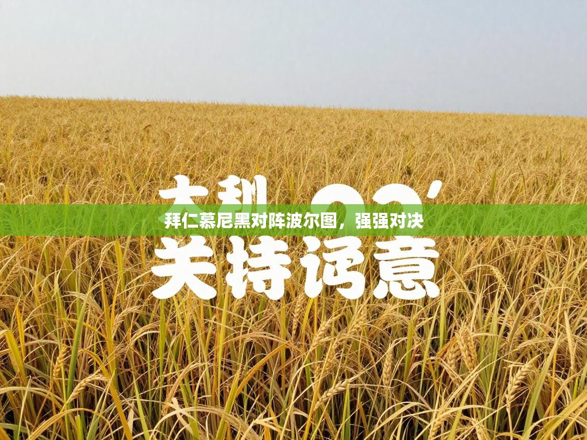 拜仁慕尼黑对阵波尔图，强强对决  第2张