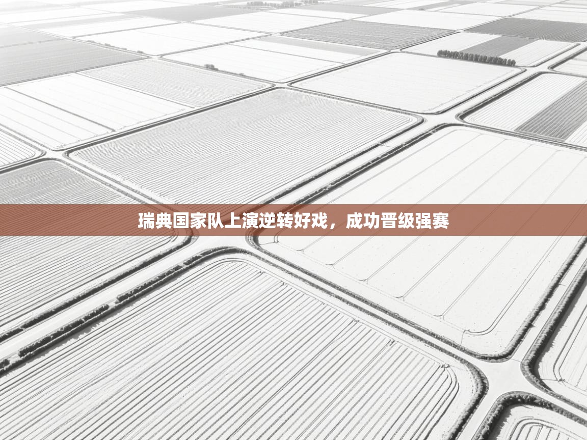 瑞典国家队上演逆转好戏，成功晋级强赛  第2张