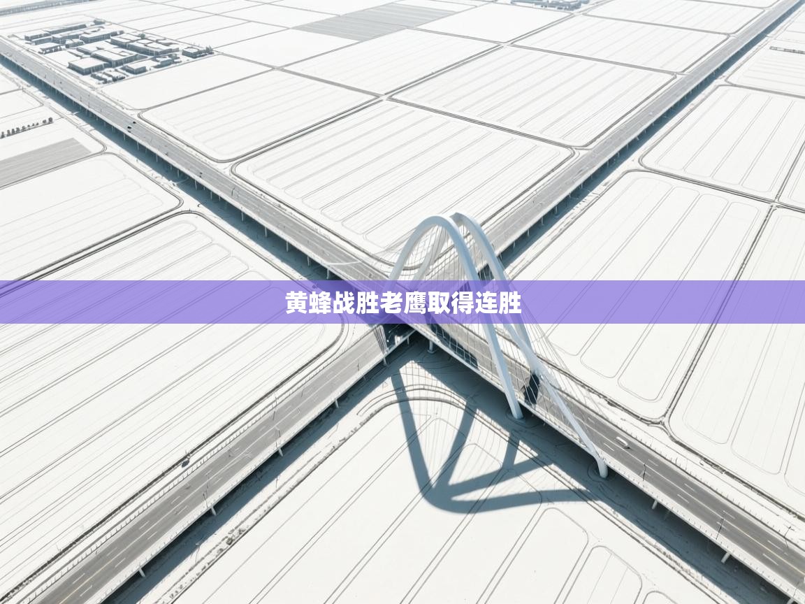 黄蜂战胜老鹰取得连胜 第1张