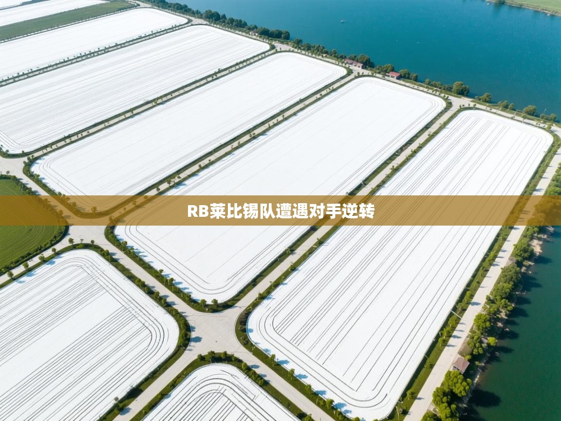 RB莱比锡队遭遇对手逆转  第1张