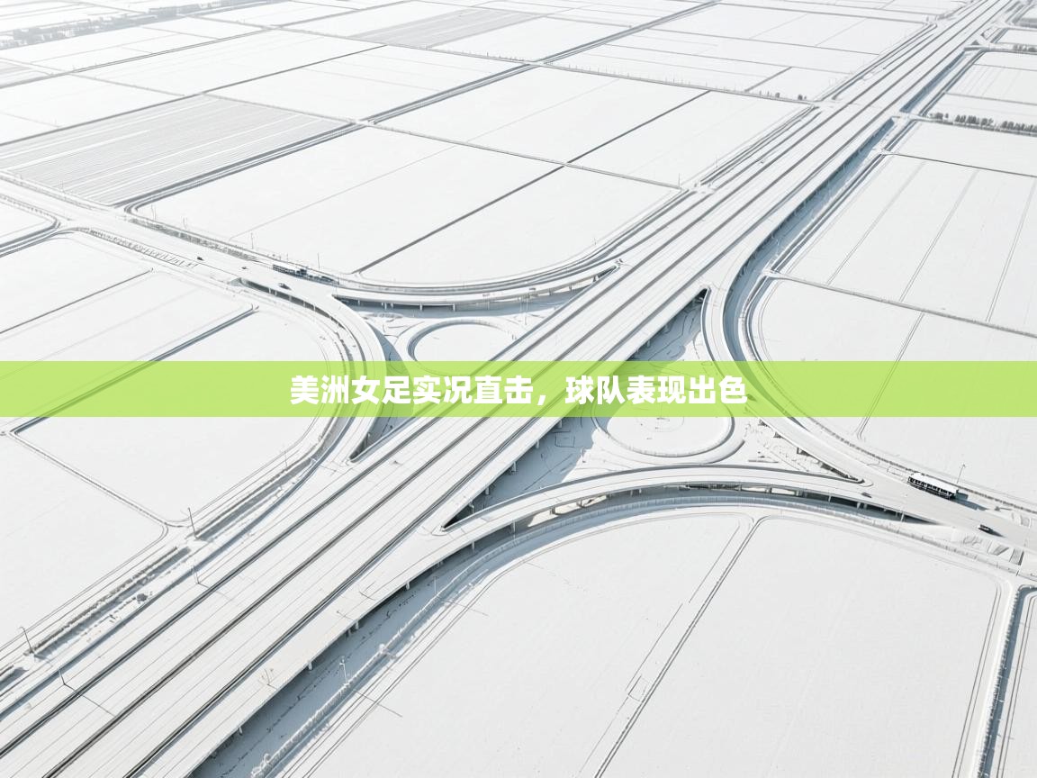 美洲女足实况直击,球队表现出色 第2张