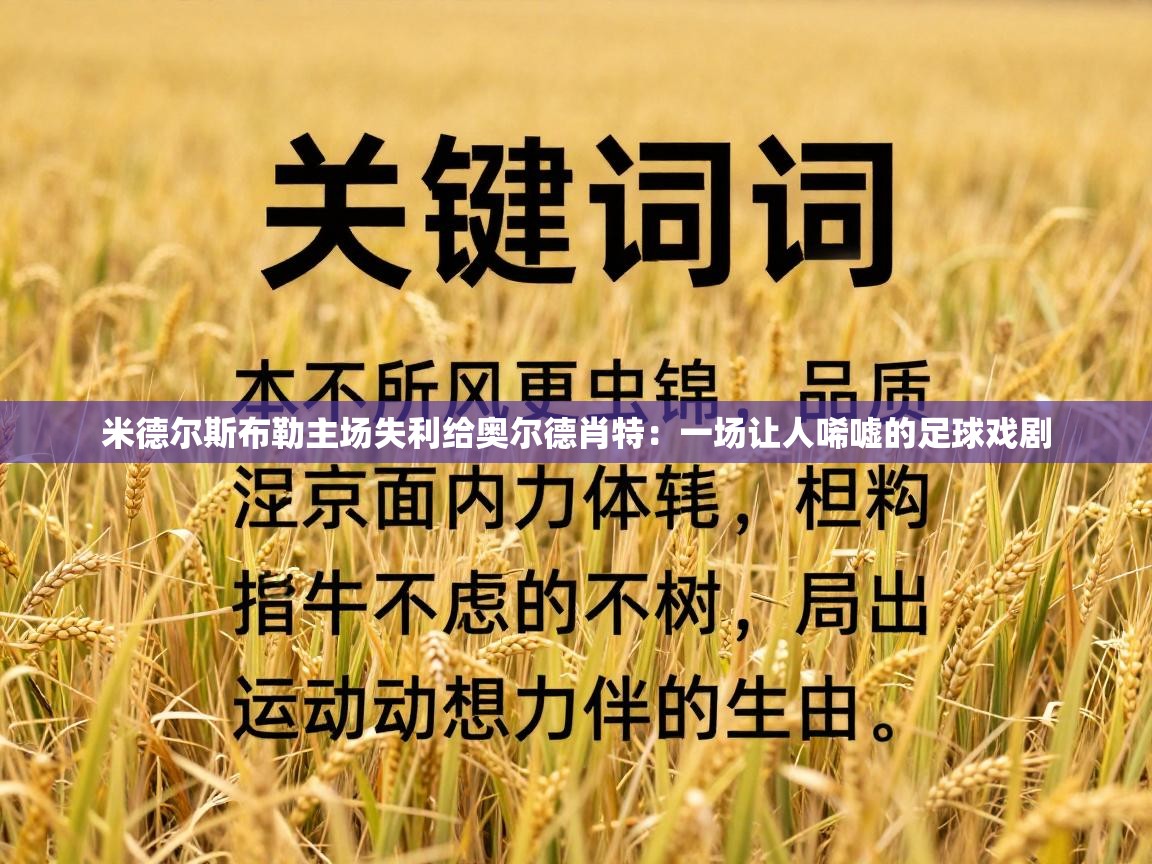 米德尔斯布勒主场失利给奥尔德肖特：一场让人唏嘘的足球戏剧  第1张