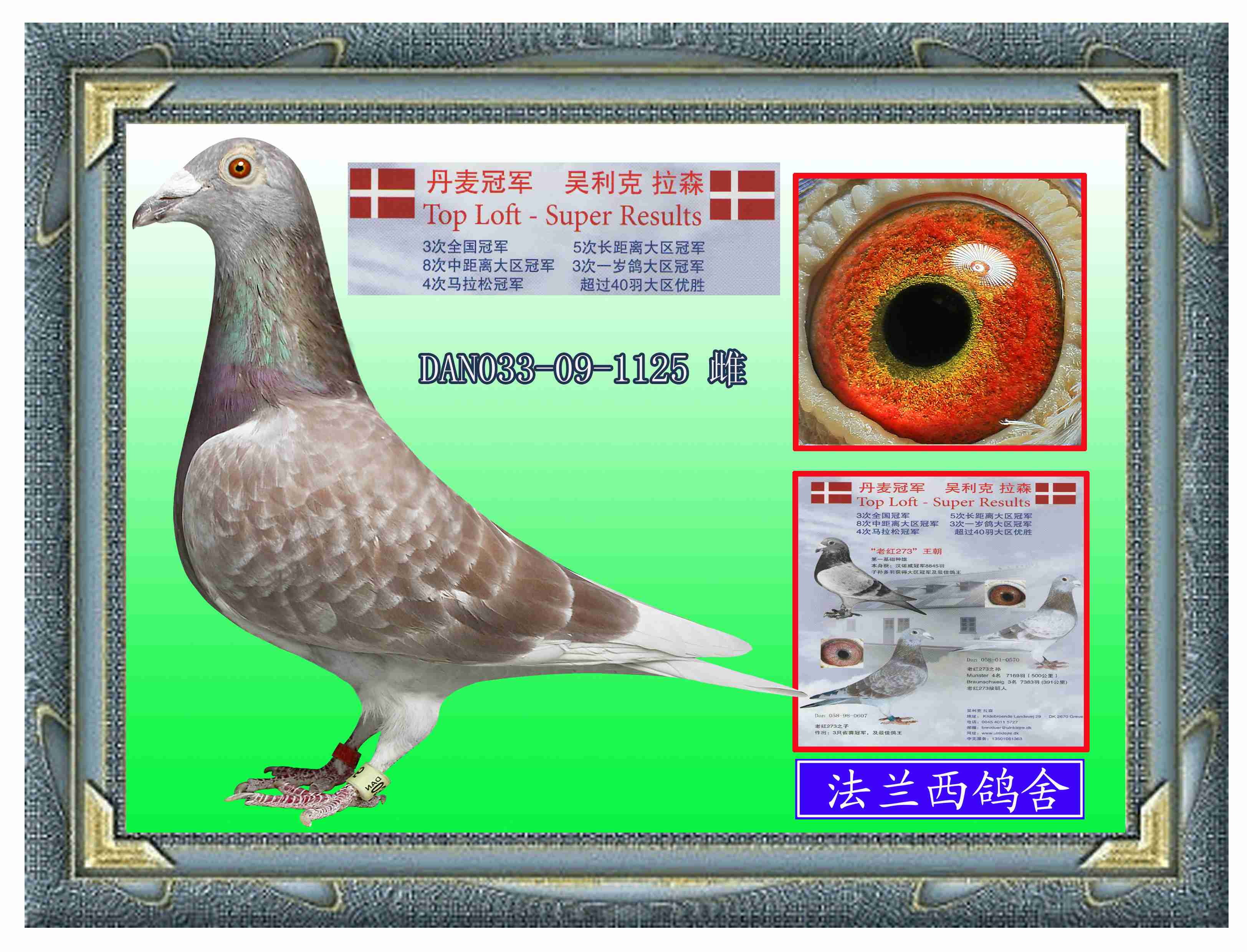 包含奥斯曼尼亚田径队队员在决赛中展现出色，夺得冠军的词条